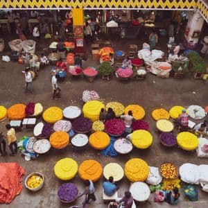 Una vista dall'alto di un vivace mercato coperto ricolmo di grandi cesti rotondi di petali di fiori colorati: gialli, viola e arancioni.