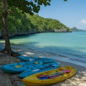 Quattro kayak colorati con pagaie riposano su una spiaggia sabbiosa, accanto all'acqua turchese e a un litorale alberato.