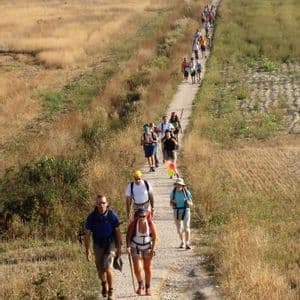 Un gruppo WeRoad percorre in fila indiana uno stretto sentiero sterrato che si snoda attraverso un paesaggio arido ed erboso.