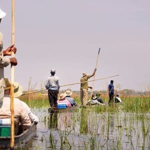 Eine WeRoad-Gruppenreise erkundet ein grasbewachsenes Feuchtgebiet in Mokoro-Kanus, gesteuert von lokalen Guides.