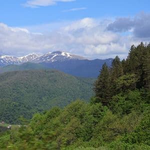 Eine weite Landschaft mit sanften, grünen, bewaldeten Hügeln und einer fernen, schneebedeckten Bergkette unter einem teilweise bewölkten blauen Himmel.