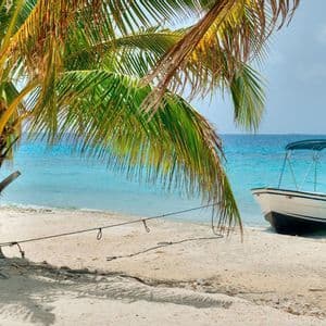 Ein kleines Boot mit blauem Verdeck ist an einer Palme an einem weißen Sandstrand neben türkisfarbenem Wasser festgebunden.
