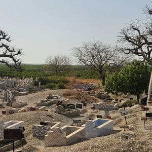 Ein Friedhof am Hang mit zahlreichen Gräbern und Grabsteinen, gelegen zwischen zwei großen, blattlosen Baobab-Bäumen und Grün im Hintergrund.