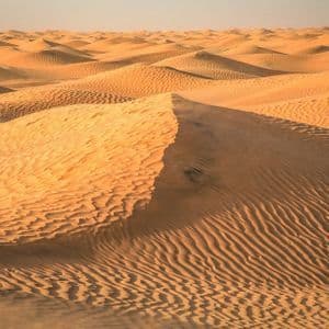 Dune di sabbia dorata, con increspature modellate dal vento, si estendono su un vasto paesaggio desertico sotto un cielo velato.