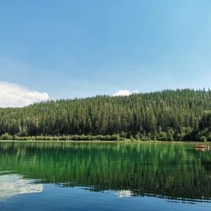 Une forêt dense de pins se reflète dans les eaux calmes et vertes d'un lac, où un petit bateau gonflable orange flotte au loin.