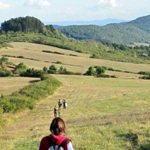 Vista da dietro un escursionista che osserva un viaggio di gruppo WeRoad camminare lungo un sentiero sterrato tra dolci colline verdi.