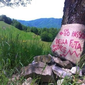 Un segnavia in pietra per il 'Passo della Futa' è appoggiato a un albero in un paesaggio lussureggiante ed erboso, con montagne sullo sfondo.