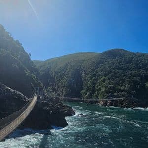 Eine Hängebrücke spannt sich an einem hellen, sonnigen Tag über tosende Küstengewässer zu dichten, grünen Hügeln hin.