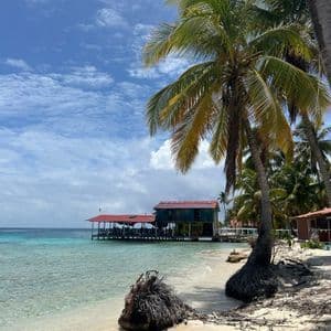 Overwater houses Wooden house on stilts over the Caribbean sea framed by palm trees