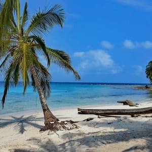 Eine Palme neigt sich über einen weißen Sandstrand mit einem Holzkanu, neben ruhigem türkisfarbenem Wasser unter blauem Himmel.