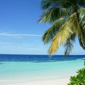 Una palma si staglia su una spiaggia di sabbia bianca con acqua turchese cristallina sotto un cielo azzurro splendente.
