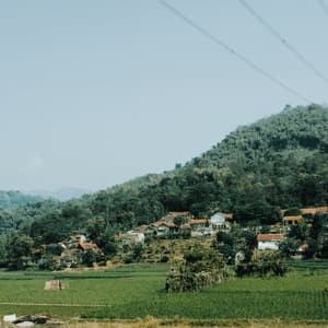 Un pequeño pueblo con casas de tejados de terracota se asienta en una exuberante y verde ladera sobre vibrantes arrozales bajo un cielo despejado.