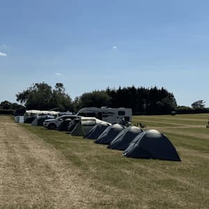 A long row of camping tents and recreational vehicles lined up on a grassy field under a clear sky.