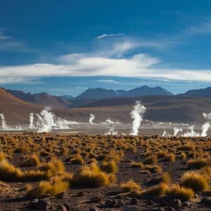 Pennacchi di vapore si innalzano da un campo di geyser in una valle montuosa arida con ciuffi d'erba gialli in primo piano.