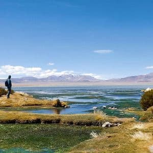 Una persona con uno zaino è su una sponda erbosa, osserva una vasta zona umida e montagne distanti sotto un cielo sereno.