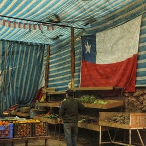 Un uomo acquista frutta e verdura in una bancarella di un mercato al coperto, decorata con bandiere cilene, sotto un telo a strisce blu e bianche.