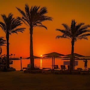 Palmen, Sonnenschirme und Sonnenliegen vor dem Hintergrund eines Sonnenuntergangs am Meer
