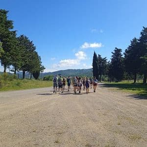 Un gruppo WeRoad in viaggio con zaini si allontana dall'inquadratura lungo una strada sterrata alberata, verso colline lontane sotto un cielo azzurro.