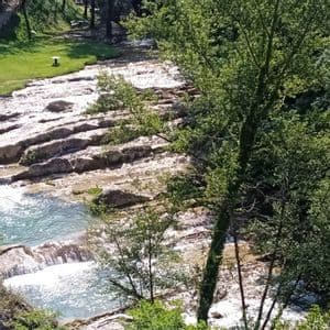 Un fiume scende a cascata su formazioni rocciose a gradoni, creando piccole cascate in una foresta lussureggiante e verde in una giornata di sole.