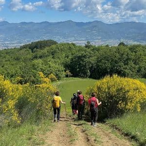 Un viaggio di gruppo WeRoad con gli zaini, che percorre un sentiero sterrato tra verdi colline fiorite di giallo sotto un cielo azzurro.