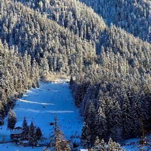 Una veduta dall'alto di una vivace pista da sci che si snoda attraverso una foresta montana innevata sotto un cielo azzurro e limpido.
