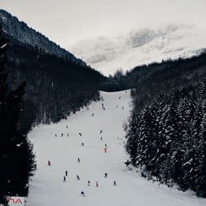 Persone che sciano e fanno snowboard su un ampio pendio montano innevato, fiancheggiato da fitte e scure foreste sotto un cielo coperto.