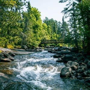Un fiume roccioso con rapide di acque bianche scorre in una fitta foresta verde, con una passerella sullo sfondo.