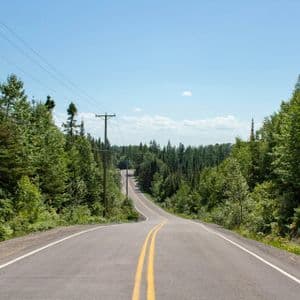 Una strada tortuosa a due corsie con linee gialle si addentra in una fitta foresta verde sotto un cielo azzurro e sereno.