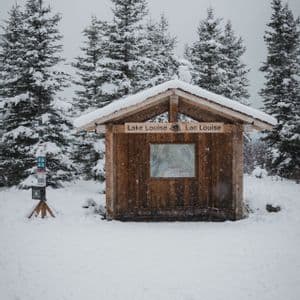 A wooden trail shelter stands in a snowy clearing surrounded by snow-covered evergreen pine trees.