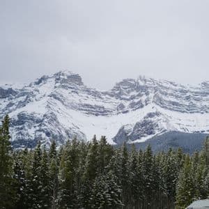 Snow-covered rocky mountains rise above an evergreen pine forest and a paved road with cars.