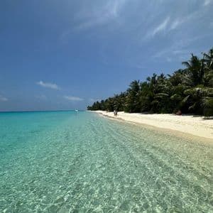 Acqua cristallina e turchese dell'oceano bagna una spiaggia di sabbia bianca circondata da lussureggianti palme verdi sotto un cielo azzurro.