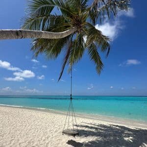 Un'altalena di corda in legno pende da una palma inclinata su una spiaggia di sabbia bianca lambita da un oceano turchese.