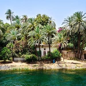 Lussureggianti palme verdi e piccoli edifici fluviali si ergono lungo la riva di un fiume calmo.