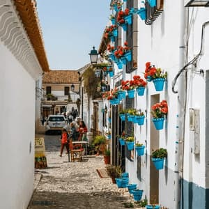 Una calle estrecha empedrada bordeada de casas encaladas decoradas con macetas de flores azul brillante en las paredes