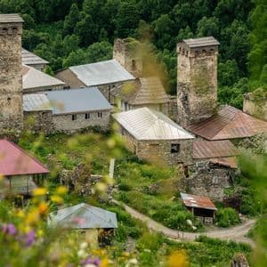 Torres de piedra medievales y casas rústicas en una ladera verde frondosa con flores silvestres en primer plano