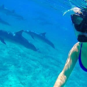 Una vista subacquea di una persona con maschera da snorkeling che nuota con un branco di delfini in acqua cristallina.