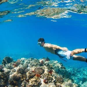 Eine Person mit Schnorchelmaske und Flossen schwimmt horizontal über einem Korallenriff in klarem blauem Wasser.