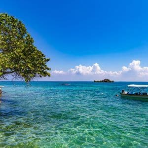 Ein Boot mit Sonnensegel liegt in klarem, türkisfarbenem Wasser an einer felsigen Küste mit einem üppig grünen Baum unter blauem Himmel.