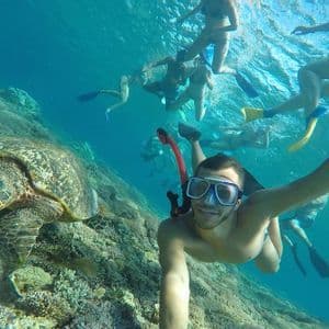 Un homme lors d'un voyage de groupe WeRoad prend un selfie sous-marin avec une grande tortue marine en faisant de la plongée avec tuba au-dessus d'un récif corallien.