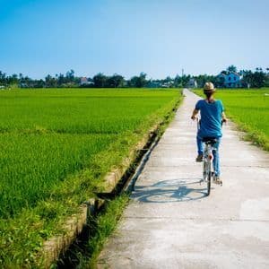 Une personne à vélo sur un sentier en béton étroit qui traverse des rizières verdoyantes sous un ciel bleu clair.