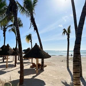 De grands palmiers projettent des ombres sur des parasols en paille et des chaises longues sur une plage de sable blanc au bord de l'océan.