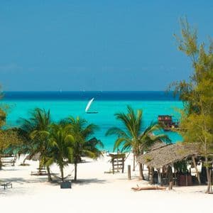 Un voilier à voile blanche sur un océan turquoise, vu depuis une plage tropicale de sable blanc et de palmiers.