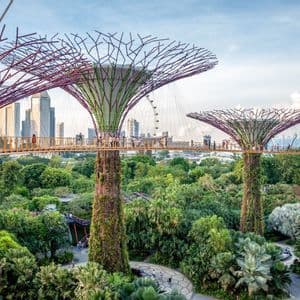 Una pasarela elevada con personas, que serpentea entre imponentes Superárboles cubiertos de plantas en un denso parque urbano, con el horizonte de la ciudad al fondo.