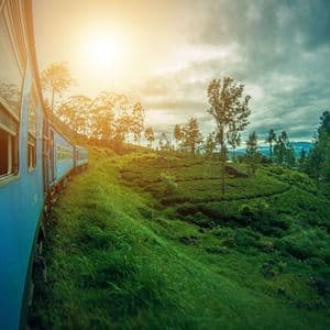 Un treno blu attraversa verdi colline e piantagioni di tè su un binario, sotto un cielo soleggiato e nuvoloso.