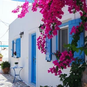 Fiori di buganvillea rosa scendono a cascata lungo un edificio imbiancato a calce con persiane e una porta di un blu brillante su una strada lastricata in pietra.