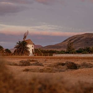 Un molino de viento blanco tradicional se alza junto a palmeras en un paisaje seco y montañoso bajo un cielo nublado al atardecer.