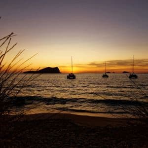 Silhouetten von drei Katamaranen auf dem Meer während eines gelb-violetten Sonnenuntergangs, gesehen hinter hohem Gras an einem Sandstrand.