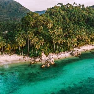 Una vista aerea di una spiaggia tropicale con acqua cristallina color turchese, delimitata da una fitta foresta di palme e una collina verde.