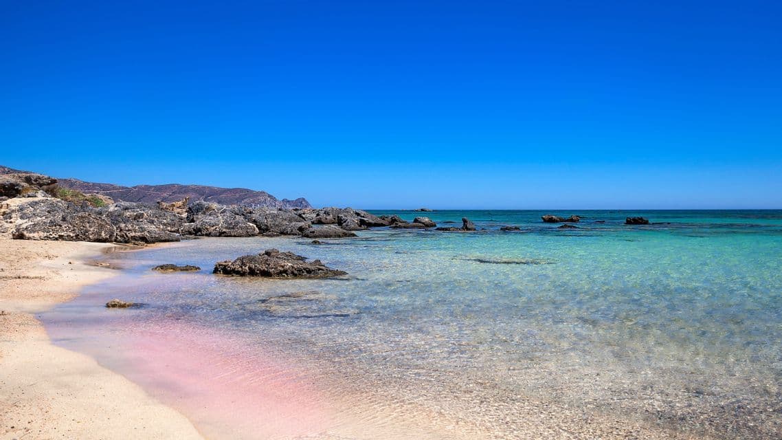 Una costa con arena rosada distintiva se encuentra con aguas turquesas claras y poco profundas, con rocas oscuras y colinas distantes bajo un cielo azul intenso.