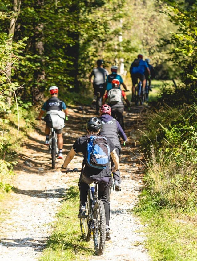 Un gruppo WeRoad, visto di spalle, pedala in fila indiana su uno stretto sentiero sterrato attraverso una foresta illuminata dal sole.